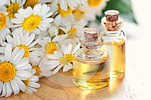 Essential oil in glass bottle with fresh chamomile flowers, beauty treatment. Spa concept. Selective focus.