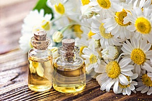 Essential oil in glass bottle with fresh chamomile flowers, beauty treatment. Spa concept. Selective focus. Fragrant oil of chamom