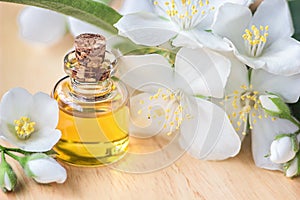 Essential oil in glass bottle with fresh jasmine flowers, beauty treatment. Spa concept Selective focus. Fragrant oil of jasmine f