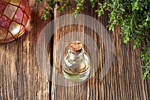 Essential oil in a glass bottle with fresh thyme