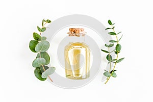 Essential oil and green branches, leaves eucalyptus on white background. Medicinal herbs. Flat lay. Top view.