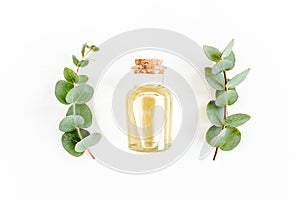 Essential oil and green branches, leaves eucalyptus on white background. Medicinal herbs. Flat lay. Top view.