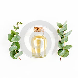 Essential oil and green branches, leaves eucalyptus on white background. Medicinal herbs. Flat lay. Top view.