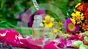 Essential oil of herbs and flowers in bottles. Selective focus.