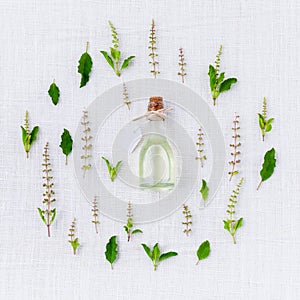 Essential oil with holy basil leaf and flower.