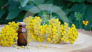 essential oil of immortelle on a wooden background. Herbs