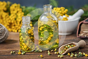 Essential oil or infusion bottles of tansy healthy herbs, blooming tansy plants on background.