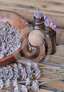 Essential oil from lavender  in bottle and  dried flowers