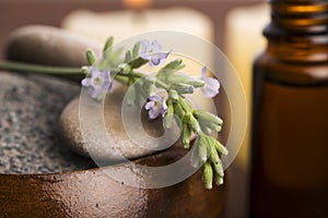 Essential oil and lavender flowers