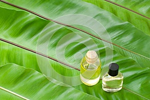 Essential oil on the leaves