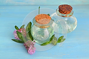 Essential oil made from clover on a rustic blue table