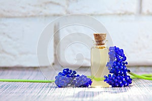 Essential oil of muscari flower on a table in beautiful bottle