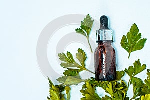 Essential oil of parsley. Glass bottle of parsley essential oil with a fresh bunch of parsley, green vegetable oil concept,