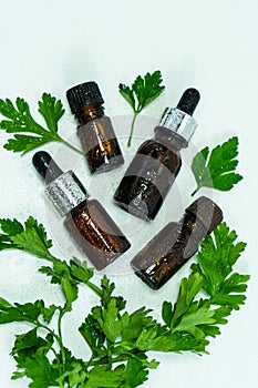 Essential oil of parsley. Glass bottle of parsley essential oil with a fresh bunch of parsley, green vegetable oil concept.