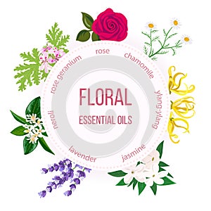 Essential oil round emblem. Rose, Chamomile, jasmine, Ylang-ylang, , neroli, Lavender, rose Geranium