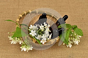 Essential oil Wrightia religiosa flowers on a brown hemp sack background.