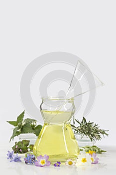 Essential oils for aromatherapy treatment with fresh herbs