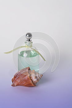 Essential Oils in Clear Bottle and Seashell