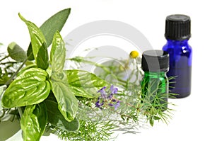 Essential oils with herbs