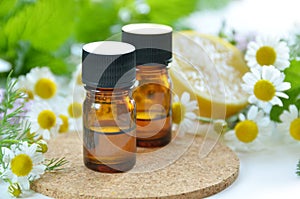 Essential oils with herbs photo