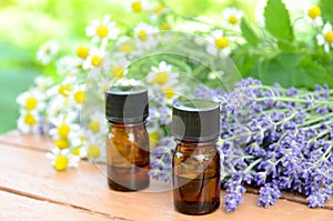 Essential oils with lavender and chamomile photo