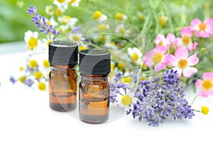 Essential oils with lavender and herbs photo