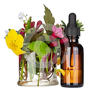 Essential oils and medical flowers herbs, isolated