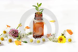 Essential oils from natural herbs for alternative medicine