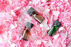 Essential oils in pink roses