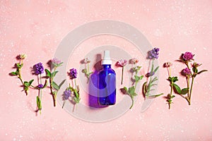 Essential oils, summer wild medical flowers and herbs. alternative medicine