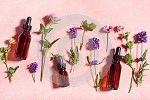 essential oils, summer wild medical flowers and herbs. alternative medicine