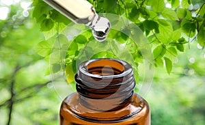 Essential oils with water drops in to the bottle on green bokeh background