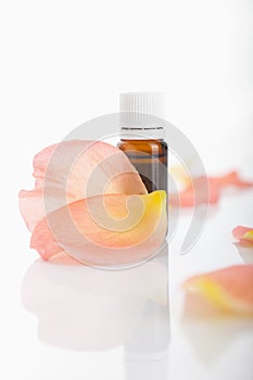 Essential rose oil on white