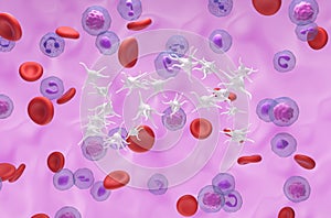 Essential thrombocythemia (ET), overproduction of platelets (thrombocytes) - isometric view 3d illustration