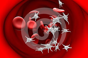 Essential thrombocythemia (ET), overproduction of platelets (thrombocytes) - section view 3d illustration photo