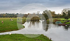 Essex countryside uk