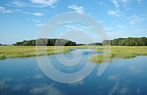 Essex Marsh photo