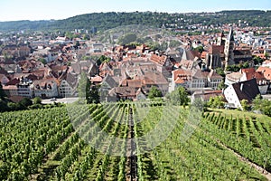 Esslingen am Neckar views from Castle Burg near Stuttgart, Baden