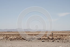 Estacionamiento en el desierto photo