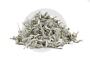 Estafiate dried herb, Artemisia ludoviciana photo