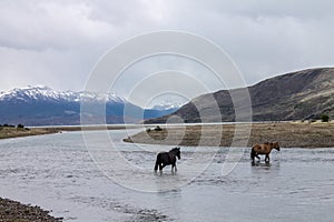 Estancia Cristina Patagonia Argentina photo