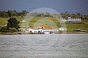 Estancia Harberton in Tierra del Fuego, Patagonia, Argentina photo