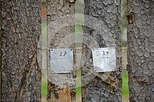 Estate Boundary Marker, Czech Republic, Europe