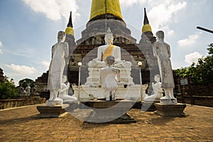 Buda blanco de Ayutthaya, White Buddha of Ayutthaya photo