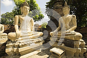 Buddhist meditation statues photo
