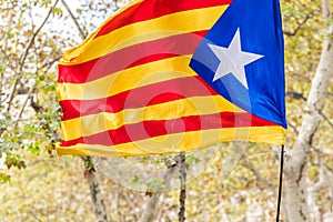 An estelada, the Catalan separatist flag, Barcelona, Catalunya, Spain. Close-up.