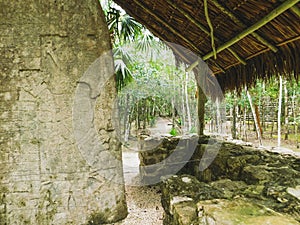 Estelas  in the arqueological zone of Coba photo