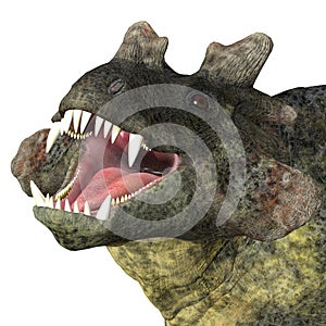 Estemmenosuchus mirabilis Dinosaur Head