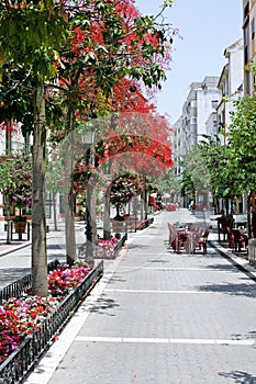 Estepona high street in Spain