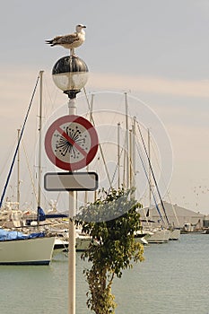 Estepona Marina and fishing port in Malaga, Andalucia.